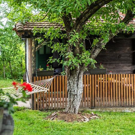 Lodge Morava Vrnjačka Banja المظهر الخارجي الصورة