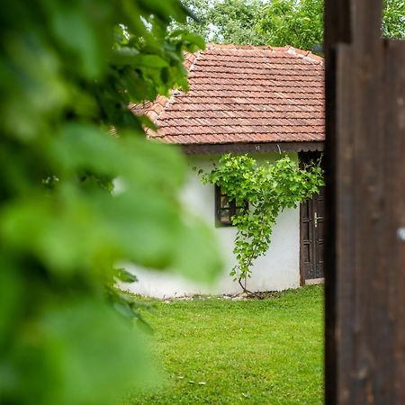 Lodge Morava Vrnjačka Banja المظهر الخارجي الصورة