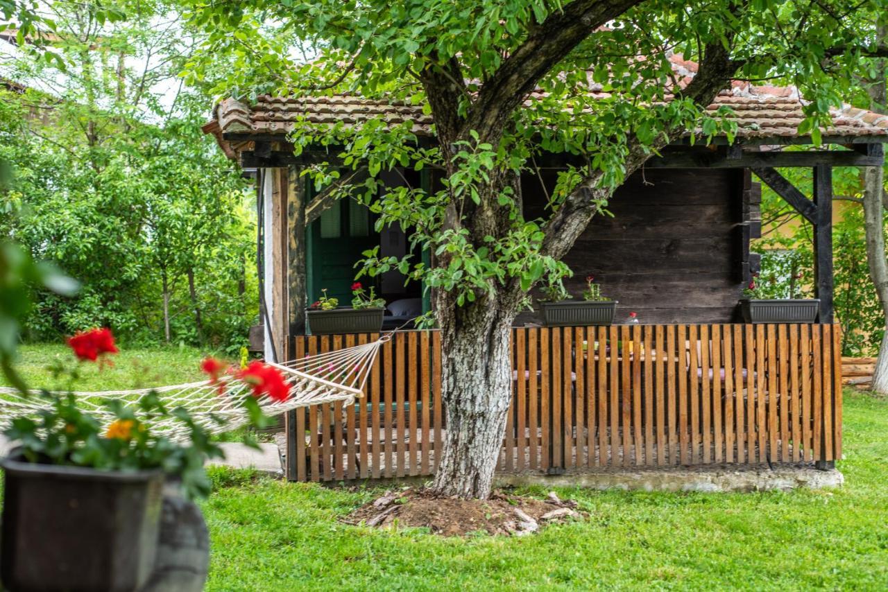 Lodge Morava Vrnjačka Banja المظهر الخارجي الصورة