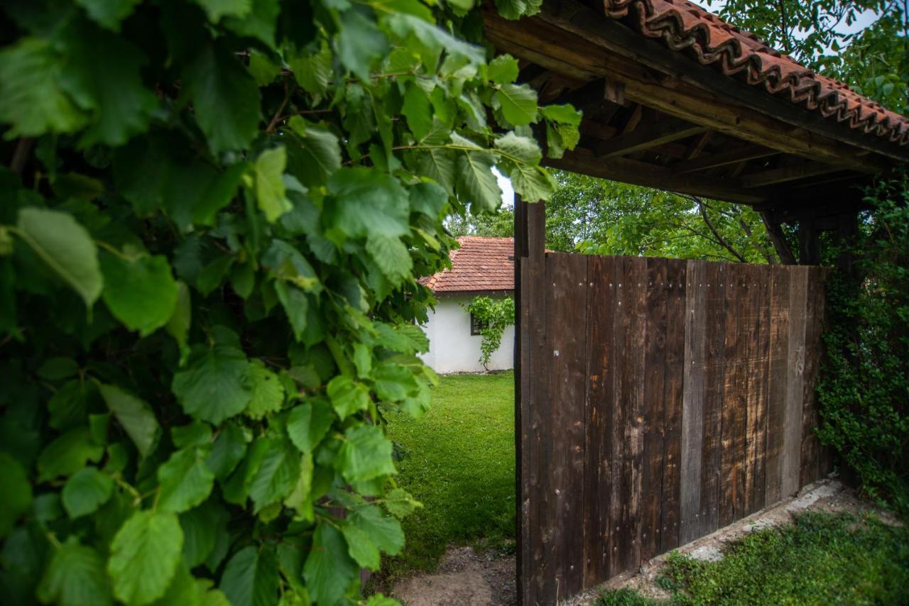 Lodge Morava Vrnjačka Banja المظهر الخارجي الصورة